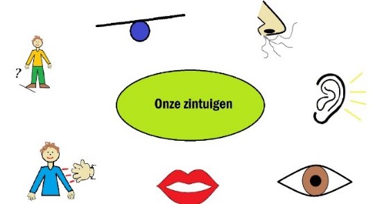 Confysio Kids Kinderfysiotherapiepraktijk